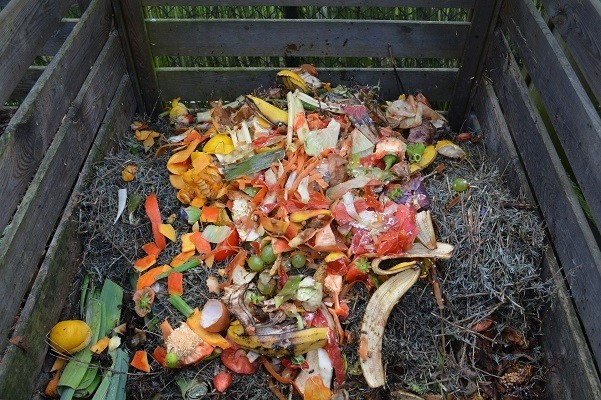 They eat products from garbage cans. Is it dangerous? Explains the nutritionist