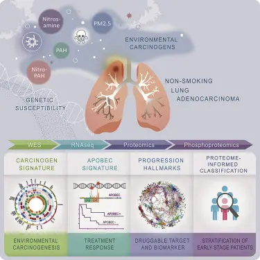 They smoke package after package and avoid lung cancer. How it&#8217;s possible? Interesting discovery