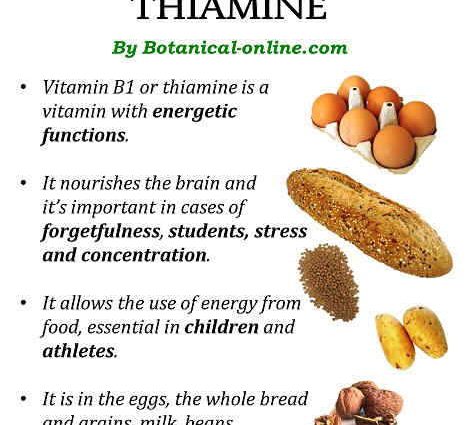 Thiamin &#8211; sources, properties, action. Excess and deficiency of thiamine