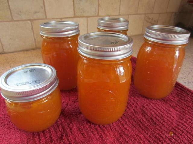 Thick apricot jam