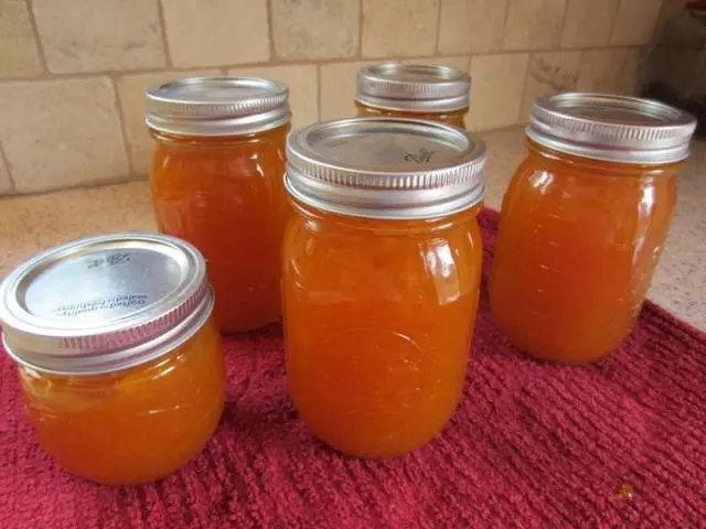 Thick apricot jam