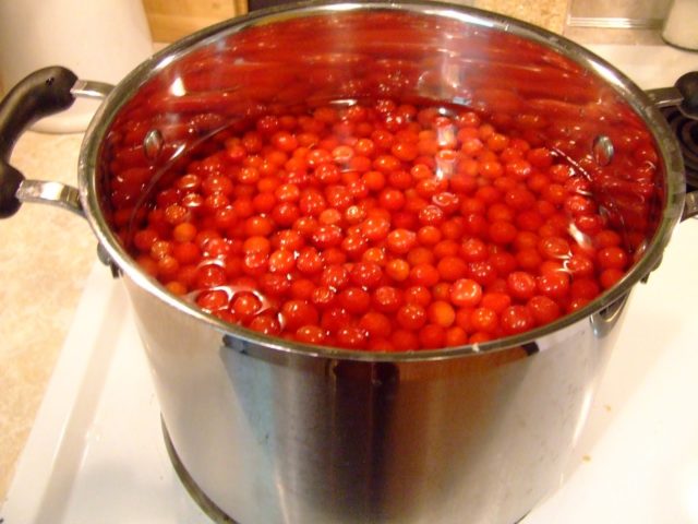 Thick pitted cherry jam: recipes for the winter at home