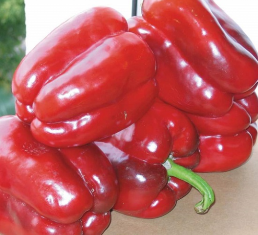 Thick-walled peppers