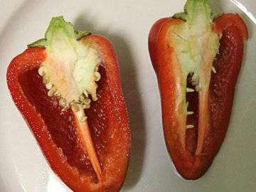 Thick-walled peppers