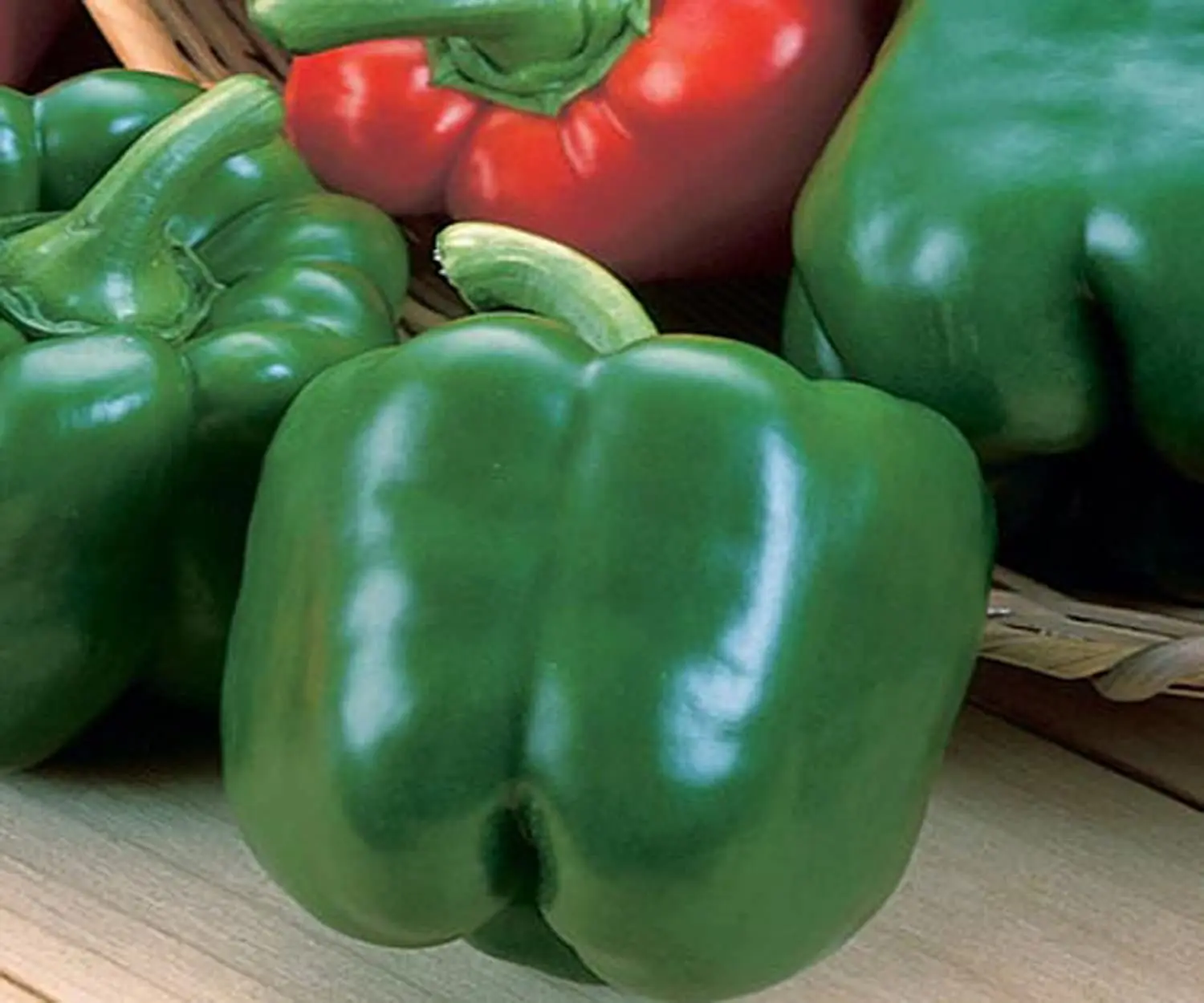 Thick-walled peppers