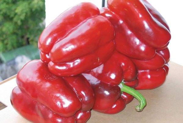 Thick-walled varieties of pepper for open ground 