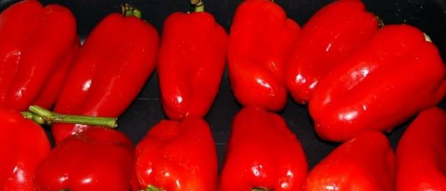 Thick-walled varieties of pepper for open ground 