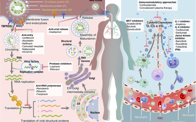 This could be a breakthrough in COVID-19 treatment. These drugs are already on the market