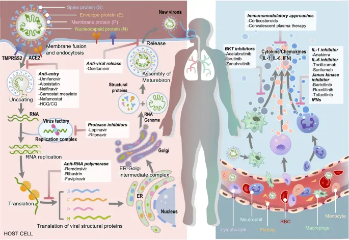 This could be a breakthrough in COVID-19 treatment. These drugs are already on the market