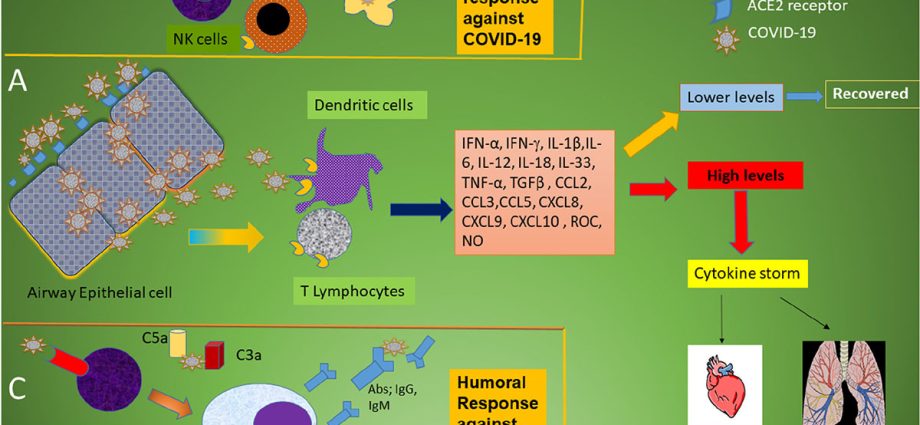 This is how you weaken your immunity. Immunologist: a sin, among others changing towels too often