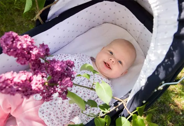 Those born in spring are slightly more prone to anorexia