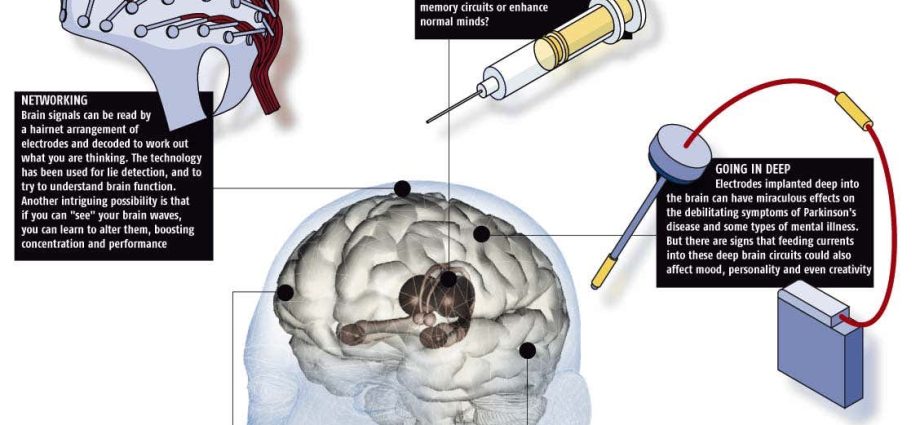 Three things can save the brain from dementia. It is worth having time for them from an early age