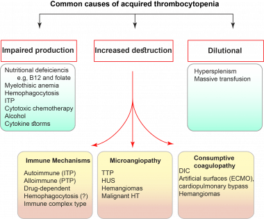 Thrombocytes. Platelets, bleeding disorders and other medical conditions