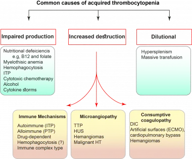 Thrombocytes. Platelets, bleeding disorders and other medical conditions