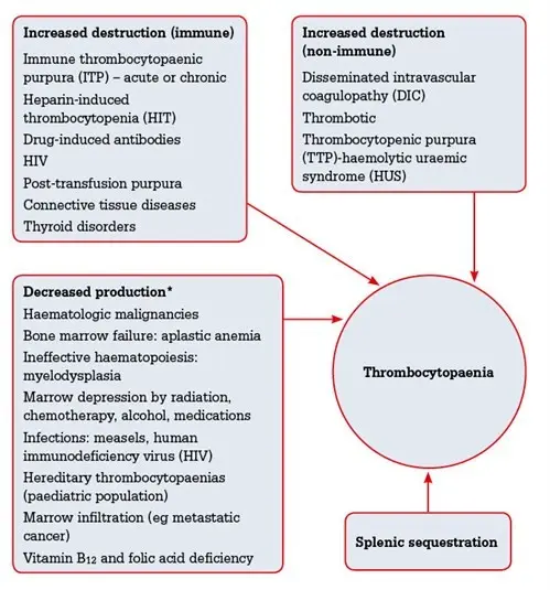 Thrombocytopenia &#8211; causes, symptoms, treatment