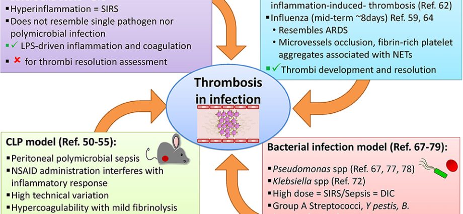 Thrombotic vascular infection &#8211; causes, symptoms and treatment