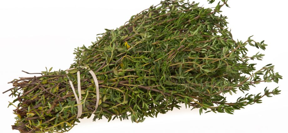 Thyme &#8211; a common herb with many properties