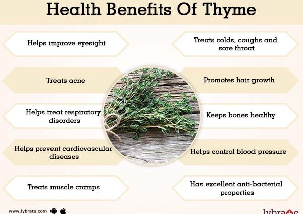 Thyme &#8211; properties, nutritional values, application