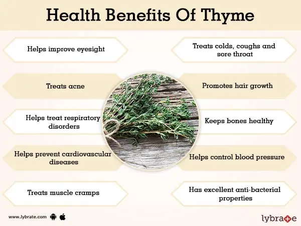 Thyme &#8211; properties, nutritional values, application