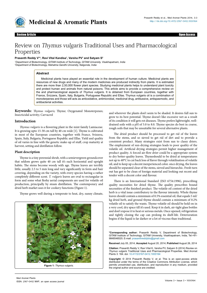 Thymus vulgaris &#8211; occurrence and therapeutic use