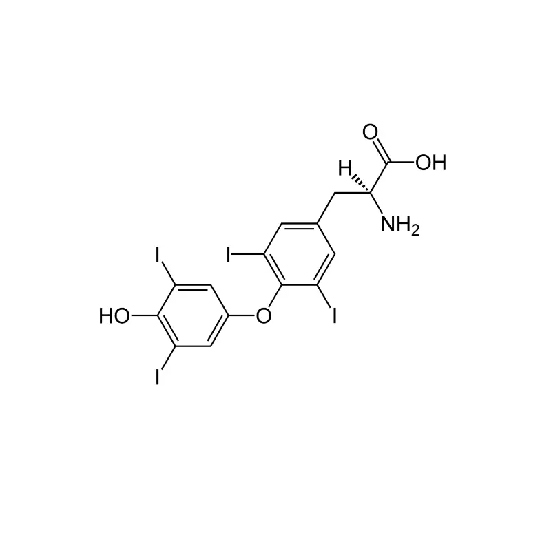 Thyroxine (T4)