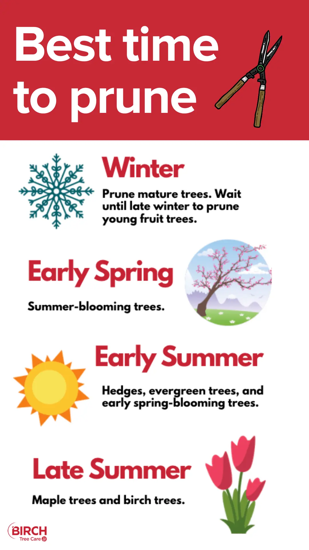 Timing of pruning trees in spring: useful tips for gardeners