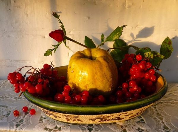 Tincture of viburnum on alcohol, moonshine, cognac, with honey, quince, linden flowers, sea buckthorn + benefits, harms and uses