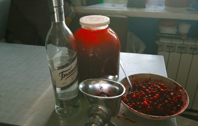 Tincture on lingonberries on moonshine