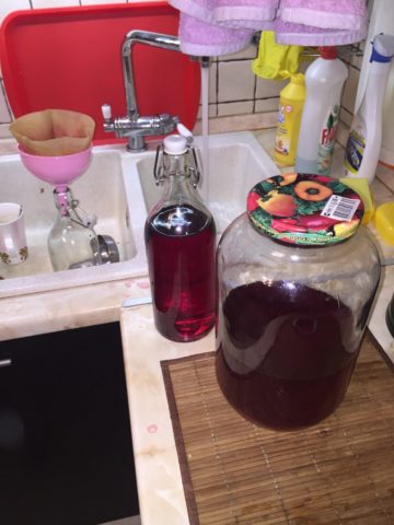 Tincture on lingonberries on moonshine