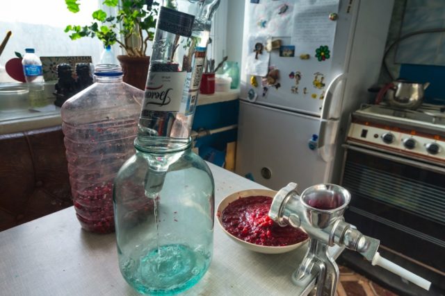 Tincture on lingonberries on moonshine