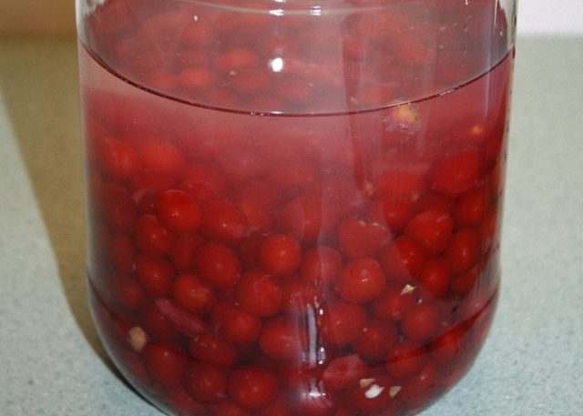 Tincture on lingonberries on moonshine