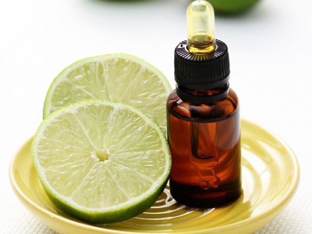 Tinctures on lime: on vodka, alcohol, moonshine