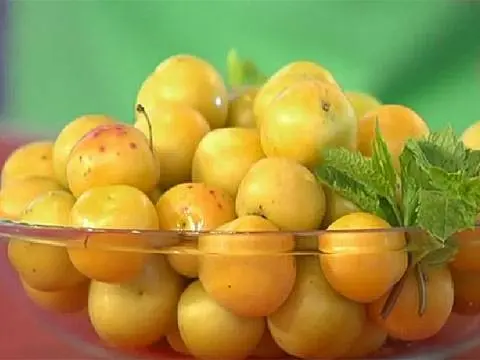 Tkemali from yellow plums