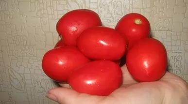 Tomato Adelina