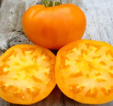 Tomato Amana Orange (Amana Orange, Amana orange): characteristics, yield