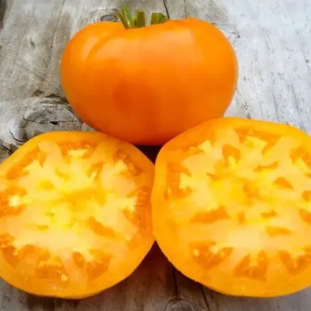 Tomato Amana Orange (Amana Orange, Amana orange): characteristics, yield