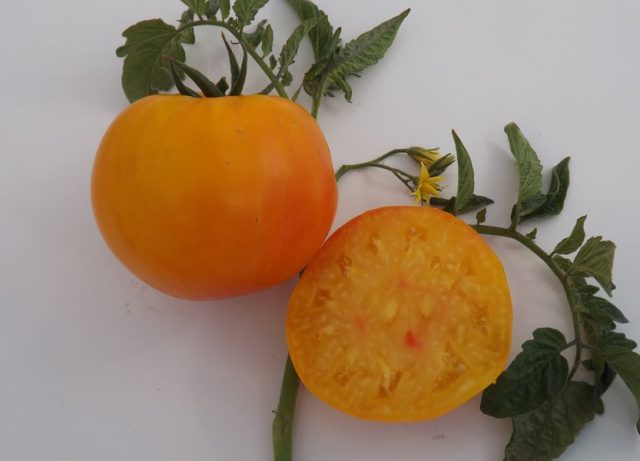 Tomato Amber: characteristics and description of the variety