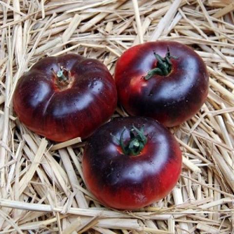 Tomato Amethyst jewel: characteristics and description of the variety