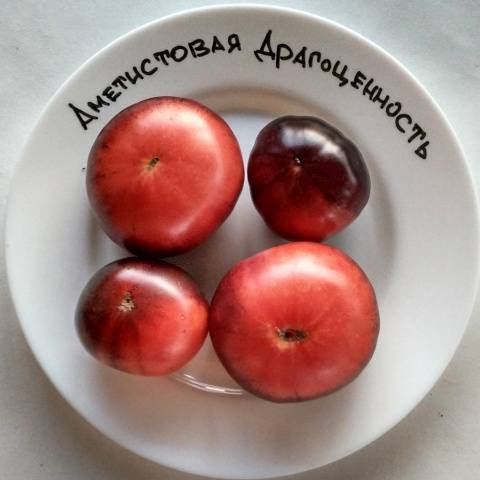 Tomato Amethyst jewel: characteristics and description of the variety