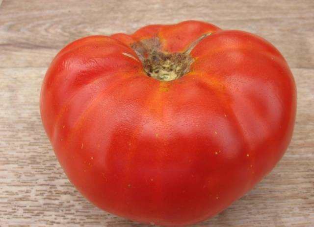 Tomato Andreevsky surprise: characteristics and description of the variety