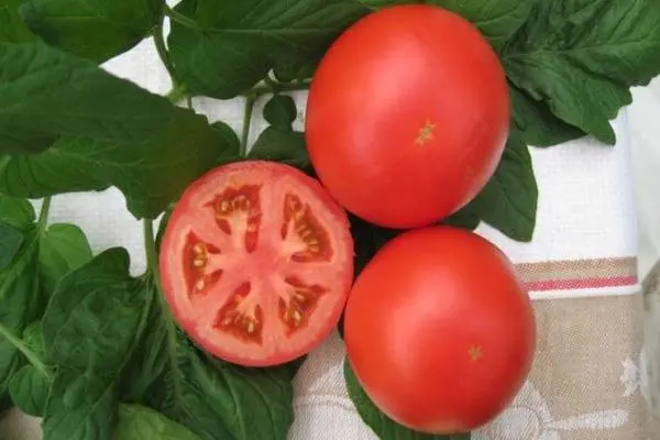 Tomato Anyuta F1: characteristics and description of the variety