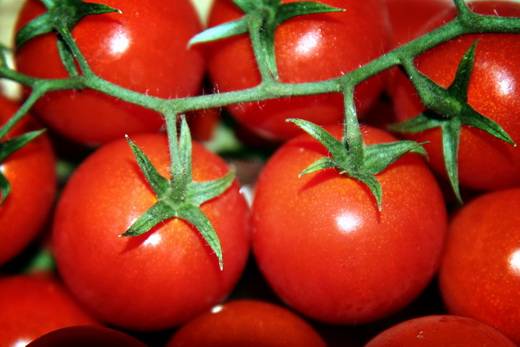 Tomato Aphrodite F1: reviews, description, photo