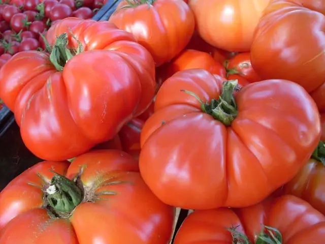 Tomato Astrakhan