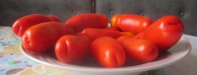 Tomato Auria: description, reviews