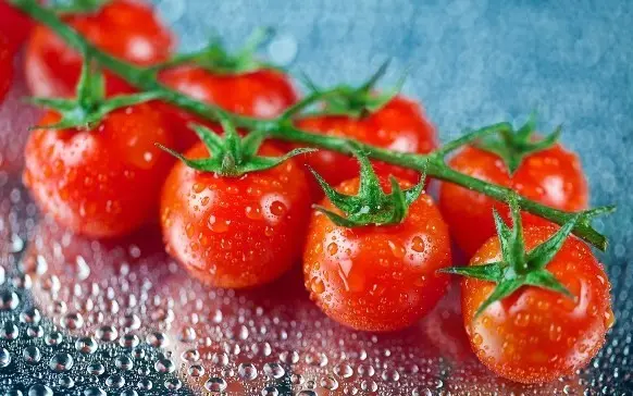 Tomato Azhur - a great variety without flaws