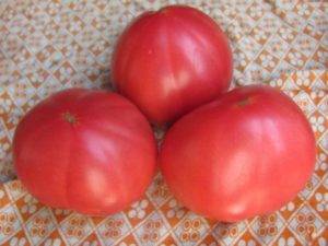 Tomato Babushkin secret: reviews, photos, yield