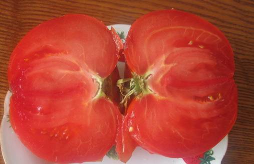 Tomato Babushkino: reviews, photos, yield