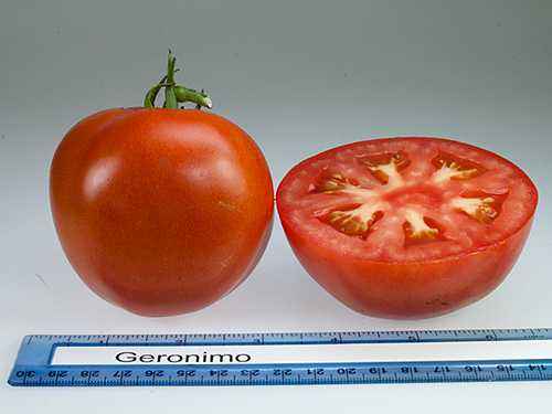 Tomato Banana red: characteristics and description of the variety