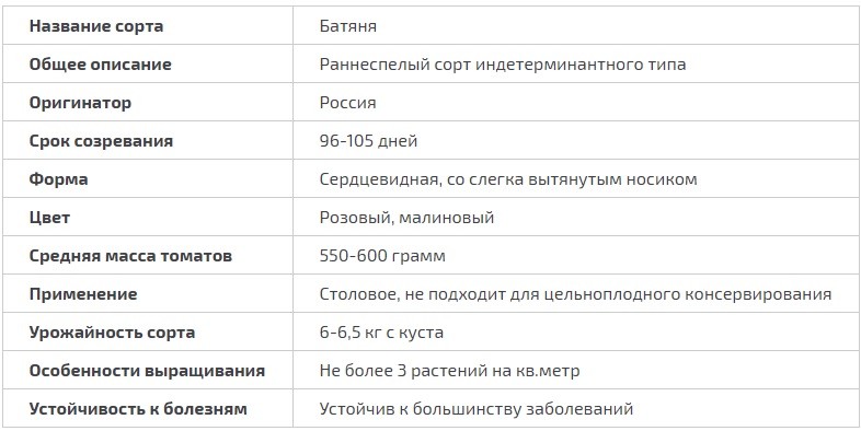 Tomato Batyanya: selection, varietal characteristics, taste and use of fruits + subtleties of agricultural technology of culture