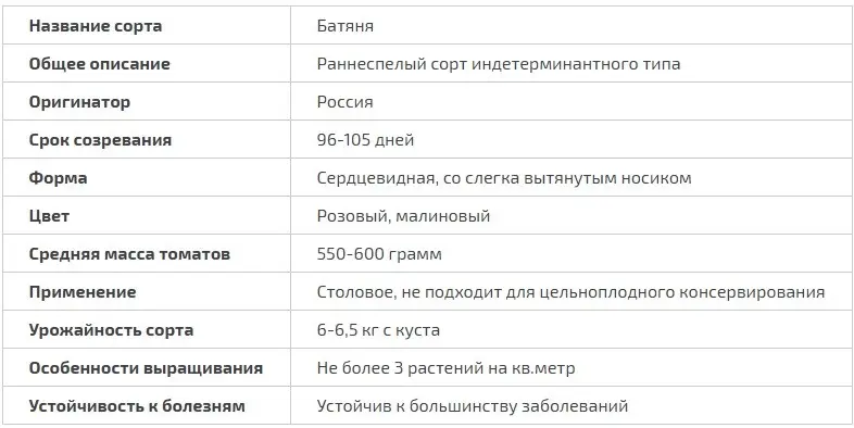 Tomato Batyanya: selection, varietal characteristics, taste and use of fruits + subtleties of agricultural technology of culture